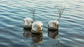 Zima w porcie Resort Niegocin, grudzień 2025 r. - zdjęcie 12