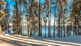 Zima w porcie Resort Niegocin, grudzień 2025 r. - zdjęcie 25