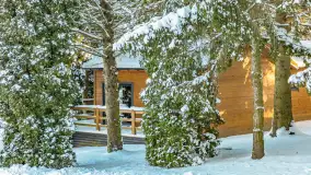 Zima w Łabędzim Ostrowiu w Pięknej Górze, Grudzień 2025 r. - zdjęcie 48