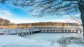 Zima w Łabędzim Ostrowiu w Pięknej Górze, Grudzień 2025 r. - zdjęcie 36