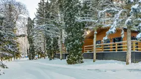 Zima w Łabędzim Ostrowiu w Pięknej Górze, Grudzień 2025 r. - zdjęcie 31