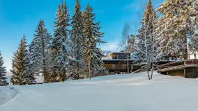 Zima w Łabędzim Ostrowiu w Pięknej Górze, Grudzień 2025 r. - zdjęcie 12