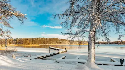 Zima w Łabędzim Ostrowiu w Pięknej Górze, Grudzień 2025 r.