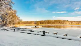 Zima w Łabędzim Ostrowiu w Pięknej Górze, Grudzień 2025 r. - zdjęcie 22