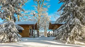 Zima w Łabędzim Ostrowiu w Pięknej Górze, Grudzień 2025 r. - zdjęcie 23