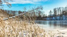 Zima w Łabędzim Ostrowiu w Pięknej Górze, Grudzień 2025 r. - zdjęcie 40