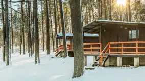 Czy to aby na pewno zima na Mazurach? grudzień 2025 r. - zdjęcie 15