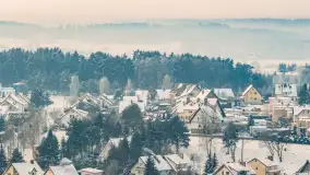 Wilkasy pod śniegiem, styczeń 2026 r. - zdjęcie 18