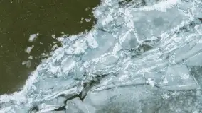 Dargin pod lodem, a natura i kra tworzą piękne pejzaże, styczeń 2026 r. - zdjęcie 7