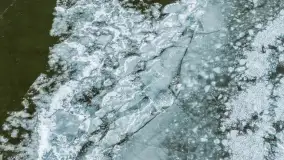 Dargin pod lodem, a natura i kra tworzą piękne pejzaże, styczeń 2026 r. - zdjęcie 15