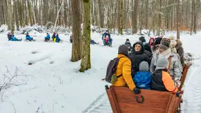 Kulig w puszczy Piskiej razem z OW Wodnik, Ruciane-Nida, Styczeń 2026 r. - zdjęcie 29