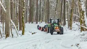 Kulig w puszczy Piskiej razem z OW Wodnik, Ruciane-Nida, Styczeń 2026 r. - zdjęcie 26