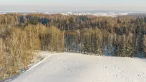 Sarny na mazurskich polach złapane w kadr z drona, styczeń 2026 r. - zdjęcie 18