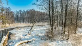 Sapina w okolicach Pozezdrza w zimowej aurze, styczeń 2026 r. - zdjęcie 9