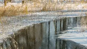 Sapina w okolicach Pozezdrza w zimowej aurze, styczeń 2026 r. - zdjęcie 12