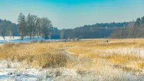 Sapina w okolicach Pozezdrza w zimowej aurze, styczeń 2026 r. - zdjęcie 6