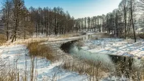 Sapina w okolicach Pozezdrza w zimowej aurze, styczeń 2026 r. - zdjęcie 14