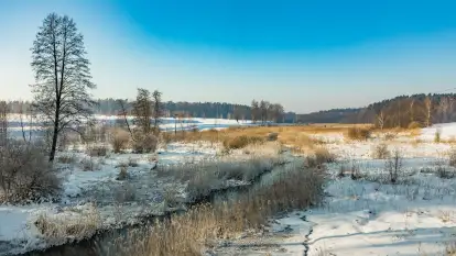 Sapina w okolicach Pozezdrza w zimowej aurze, styczeń 2026 r.