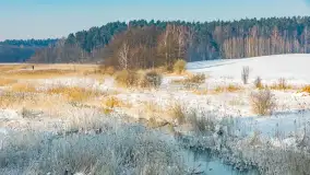 Sapina w okolicach Pozezdrza w zimowej aurze, styczeń 2026 r. - zdjęcie 3