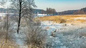 Sapina w okolicach Pozezdrza w zimowej aurze, styczeń 2026 r. - zdjęcie 8