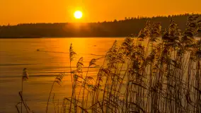 Zachód słońca nad jeziorem Nidzki, Pod Dębem, styczeń 2026 r. - zdjęcie 32