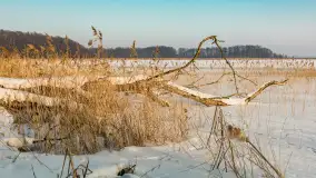 Biała i zimowa wersja mostu Sztynorckiego, styczeń 2026 r. - zdjęcie 2
