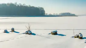 Wschodni brzeg jeziora Gołdopiwo, styczeń 2026 r. - zdjęcie 6