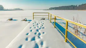 Wschodni brzeg jeziora Gołdopiwo, styczeń 2026 r. - zdjęcie 27