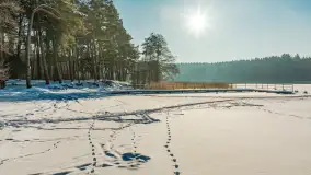 Wschodni brzeg jeziora Gołdopiwo, styczeń 2026 r. - zdjęcie 2