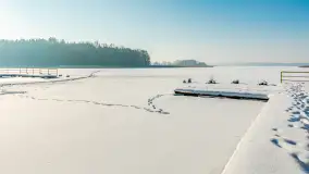 Wschodni brzeg jeziora Gołdopiwo, styczeń 2026 r. - zdjęcie 18