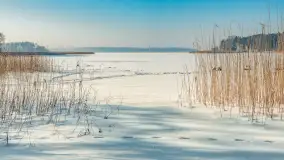 Wschodni brzeg jeziora Gołdopiwo, styczeń 2026 r. - zdjęcie 19