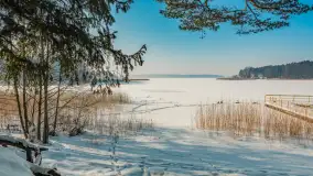 Wschodni brzeg jeziora Gołdopiwo, styczeń 2026 r. - zdjęcie 1