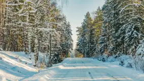 Wschodni brzeg jeziora Gołdopiwo, styczeń 2026 r. - zdjęcie 24