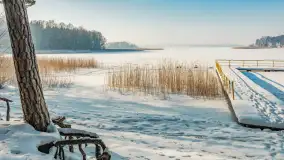 Wschodni brzeg jeziora Gołdopiwo, styczeń 2026 r. - zdjęcie 16