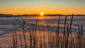 Zachód słońca nad jeziorem Bełdany, luty 2026 r. - zdjęcie 2