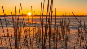 Zachód słońca nad jeziorem Bełdany, luty 2026 r. - zdjęcie 25