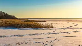 Jezioro Mamry, Węgorzewo i okolice z drona, styczeń 2026 r. - zdjęcie 35