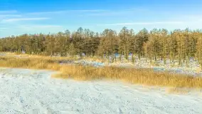 Jezioro Mamry, Węgorzewo i okolice z drona, styczeń 2026 r. - zdjęcie 32