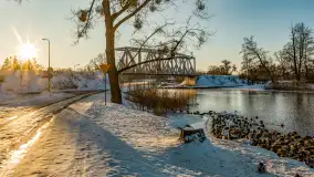 Kaczki i łabędzie w mroźne popołudnie na Pisie, luty 2026 r. - zdjęcie 24