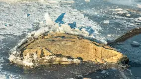 Marina Śniardwy i największe polskie jezioro w zimowej scenerii, styczeń 2026 r. - zdjęcie 16