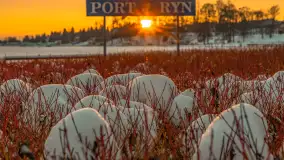 Zachód słońca w Rynie, jezioro Ryńskie, luty 2026 r. - zdjęcie 36