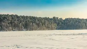Mazurska zima przy przeprawie promowej, Wierzba, luty 2026 r. - zdjęcie 16