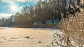 Mazurska zima przy przeprawie promowej, Wierzba, luty 2026 r. - zdjęcie 22