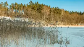 Jezioro Tyrkło, polana Wydra w zimowej odsłonie, luty 2026 r. - zdjęcie 3