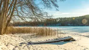 Jezioro Tyrkło, polana Wydra w zimowej odsłonie, luty 2026 r. - zdjęcie 11