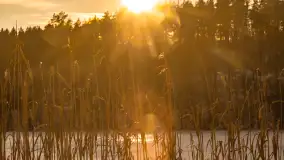 Jezioro Tyrkło, polana Wydra w zimowej odsłonie, luty 2026 r. - zdjęcie 16