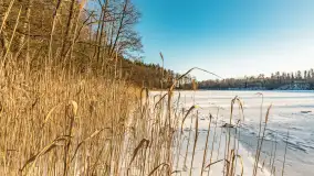 Jezioro Tyrkło, polana Wydra w zimowej odsłonie, luty 2026 r. - zdjęcie 8