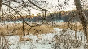 Jezioro Tyrkło, polana Wydra w zimowej odsłonie, luty 2026 r. - zdjęcie 20