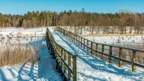 Wydminy i most garbaty w okowach mazurskiej zimy, luty 2026 r. - zdjęcie 48