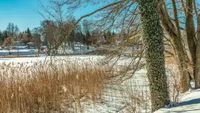 Wydminy i most garbaty w okowach mazurskiej zimy, luty 2026 r. - zdjęcie 11